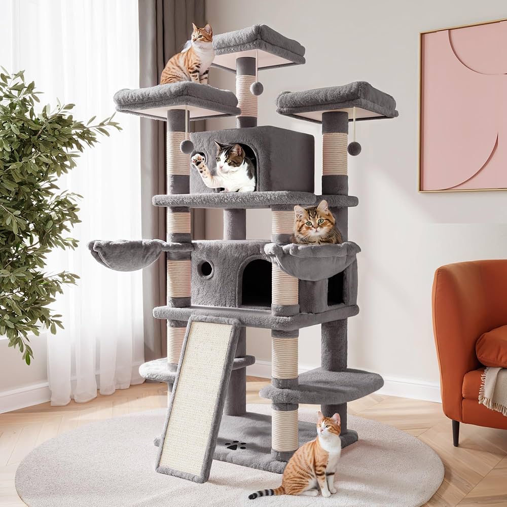 Pet Homes